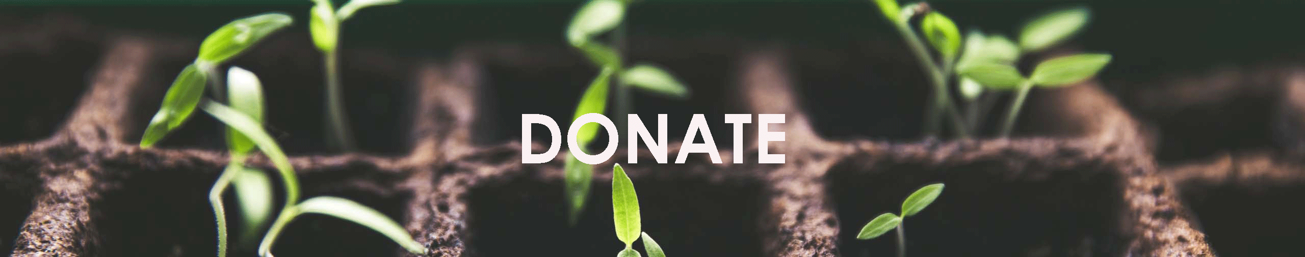donate2words-web