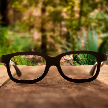 Glasses Refocusing The Forest