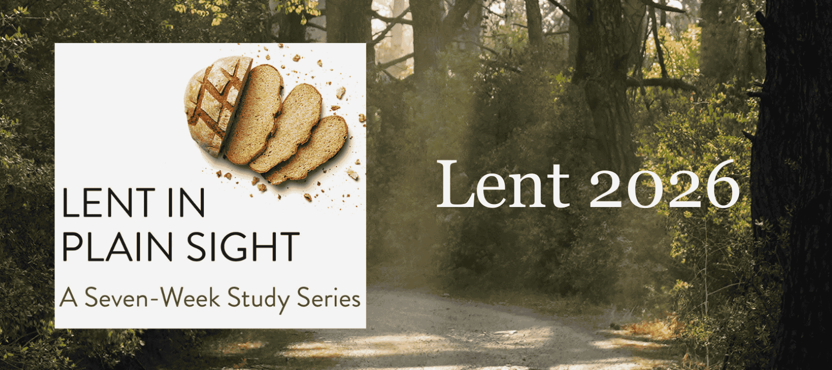 Lent 2026 - website banner condensed Lent 2026 website subpage banner